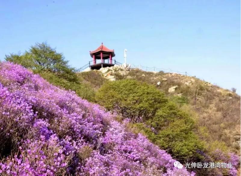 尊龙时凯·(中国区)人生就是拼搏!